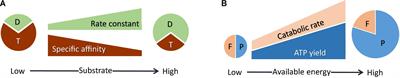 Physiological Acclimation Extrapolates the Kinetics and Thermodynamics of Methanogenesis From Laboratory Experiments to Natural Environments